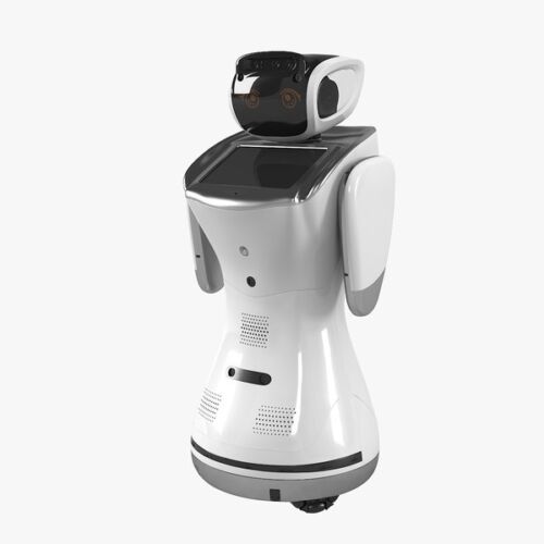 Sanbot Robot ELF - Robot humanoide de protocolo de 1 metro de altura. APP y Cloud.