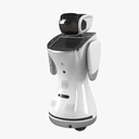 Sanbot Robot ELF - Robot humanoide de protocolo de 1 metro de altura. APP y Cloud.