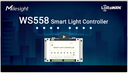 Milesight WS558-868M-Switch - Controlador de luz inteligente