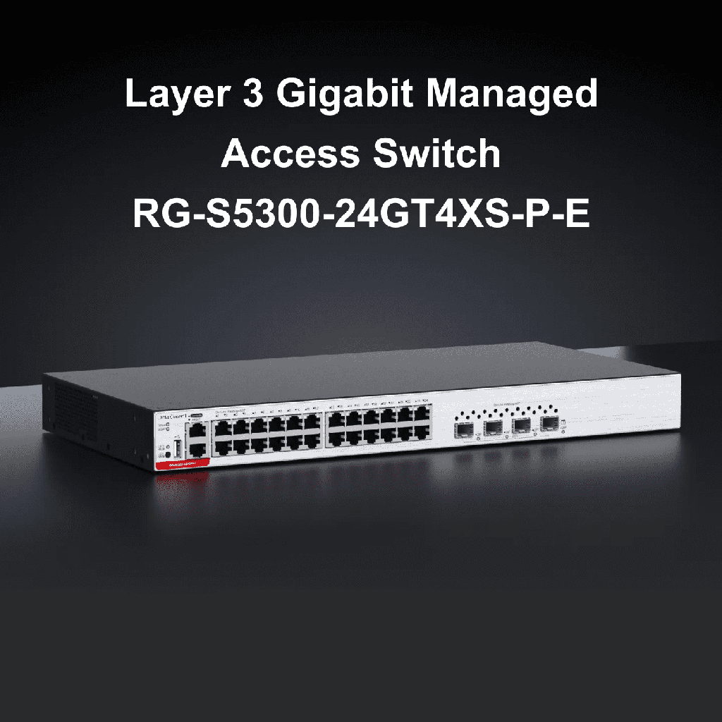 Data General DG-S5310K-24G4X - Switch 10G 24 puertos gigabit RJ45 y 4 puertos XSFP 10G